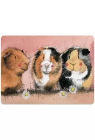 Podkładka pod talerz MT33 Świnki morskie