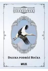 Daleka podróż boćka