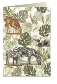 Karnet B6 + koperta 6030 Żyrafy i zebry