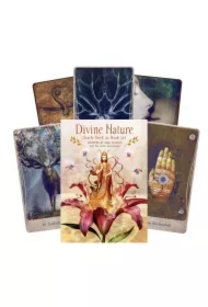 Divine Nature, zestaw kart do wróżenia i książki