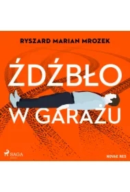 Źdźbło w garażu