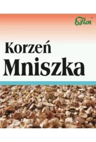 Mniszek korzeń