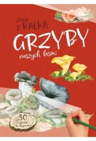 Grzyby Naszych Lasów. zeszyt z kalką