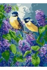 Malowanie po numerach - Wiosenny duet