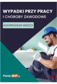 Wypadki przy pracy i choroby zawodowe. Kompendium wiedzy