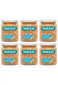 Słoiczek z ekologicznymi małymi kawałkami grochu i łososia po 10 miesiącu Zestaw