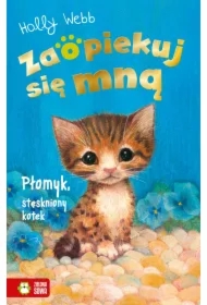 Płomyk, stęskniony kotek. Zaopiekuj się mną