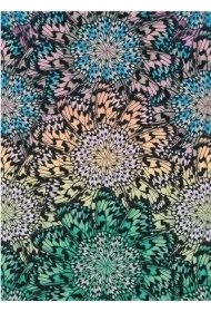 Karnet B6 z kopertą Butterfly Wheel