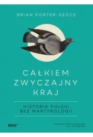 Całkiem zwyczajny kraj. Historia Polski bez..