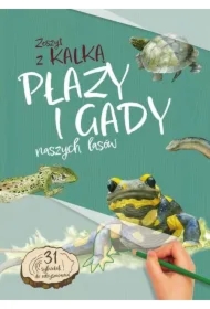 Płazy i Gady naszych lasów. zeszyt z kalką