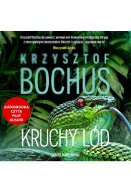 Kruchy lód