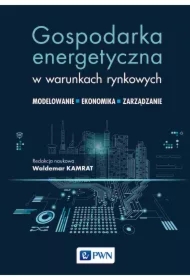 Gospodarka energetyczna w warunkach rynkowych. Modelowanie, ekonomika i zarządzanie