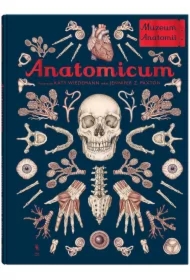 Anatomicum. Muzeum Anatomii