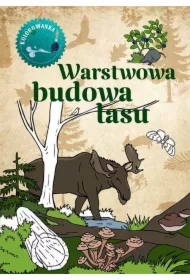 Kolorowanka. Warstwowa budowa lasu