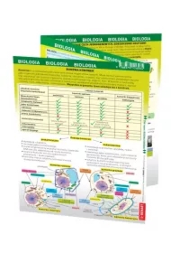Biologia. Maxi ściąga