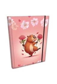 Notes B6 z gumką Soft Touch Dancing Queen