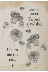 To jest zjawisko, i na to nie ma rady