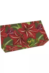 Mydło zapach jabłkowy Gwiazda Betlejemska