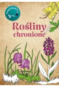 Kolorowanka Rośliny Chronione