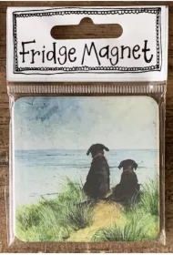 Magnes FM222 Psy na wydmach