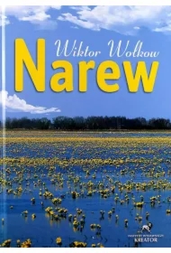 Narew