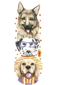 Zakładka zapach Pies pomarańczowy