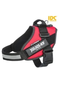 Szelki Julius-K9, 1/L: 63&ndash;85 cm/50 mm, czerwone