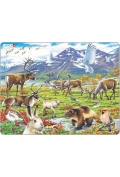 Zdjęcia - Puzzle i mozaiki Flora Puzzle 50 el.  i fauna arktycznej tundry 
