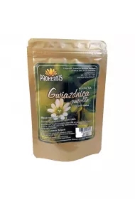 Gwiazdnica pospolita