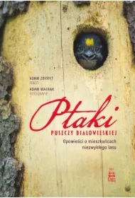 Ptaki Puszczy Białowieskiej. Opowieści o mieszkańcach niezwykłego lasu