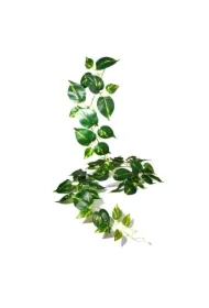 Dekoracja terrarystyczna wisząca roślina na gałązce duża 30*17*211cm