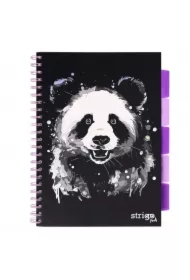 Kołozeszyt Pads A4 Panda