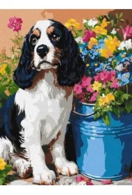 Malowanie po numerach - Uroczy spaniel
