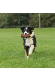 Aporter brązowy śr.7x18 cm