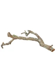 Mix gałęzi korkowych Tronchos, naturalne