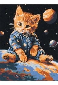 Malowanie po numerach - Gwiezdny kotek