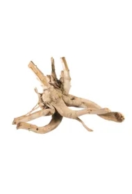 Korzeń bagienny M-L RED MOOR 10-50cm