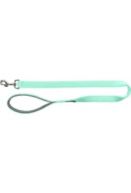 Premium Smycz dla psa, miętowa, L- XL: 1.00 m/25 mm