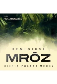 Cienie pośród mroku. Seweryn Zaorski. Tom 6