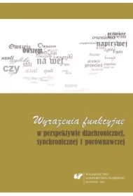 Wyrażenia funkcyjne w perspektywie diachronicznej