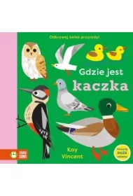 Gdzie jest kaczka