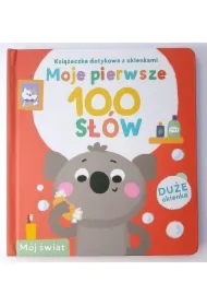 Książeczka dotykowa Moje pierwsze 100 słów. Świat
