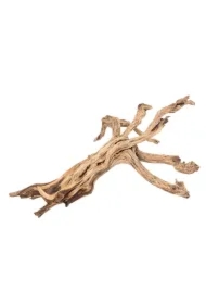 Drewno Dono woods do akwarium / terrarium