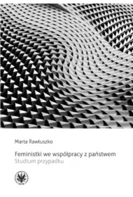 Feministki we współpracy z państwem. Studium przypadku