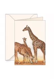 Karnet B6 z kopertą Żyrafy