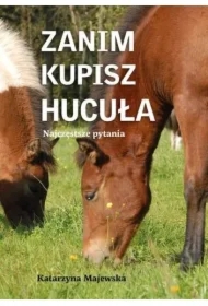 Zanim kupisz hucuła. Najczęstsze pytania