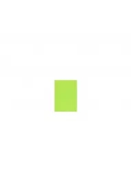 Karton Brystol Jasnozielony A3