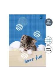 Zeszyt A4 Kot i piłki