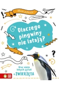 Mam pytanie. Dlaczego pingwiny nie latają?