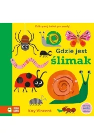 Gdzie jest ślimak